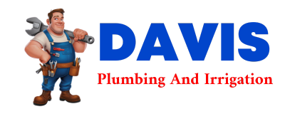 Trusted plumber in FISCHER